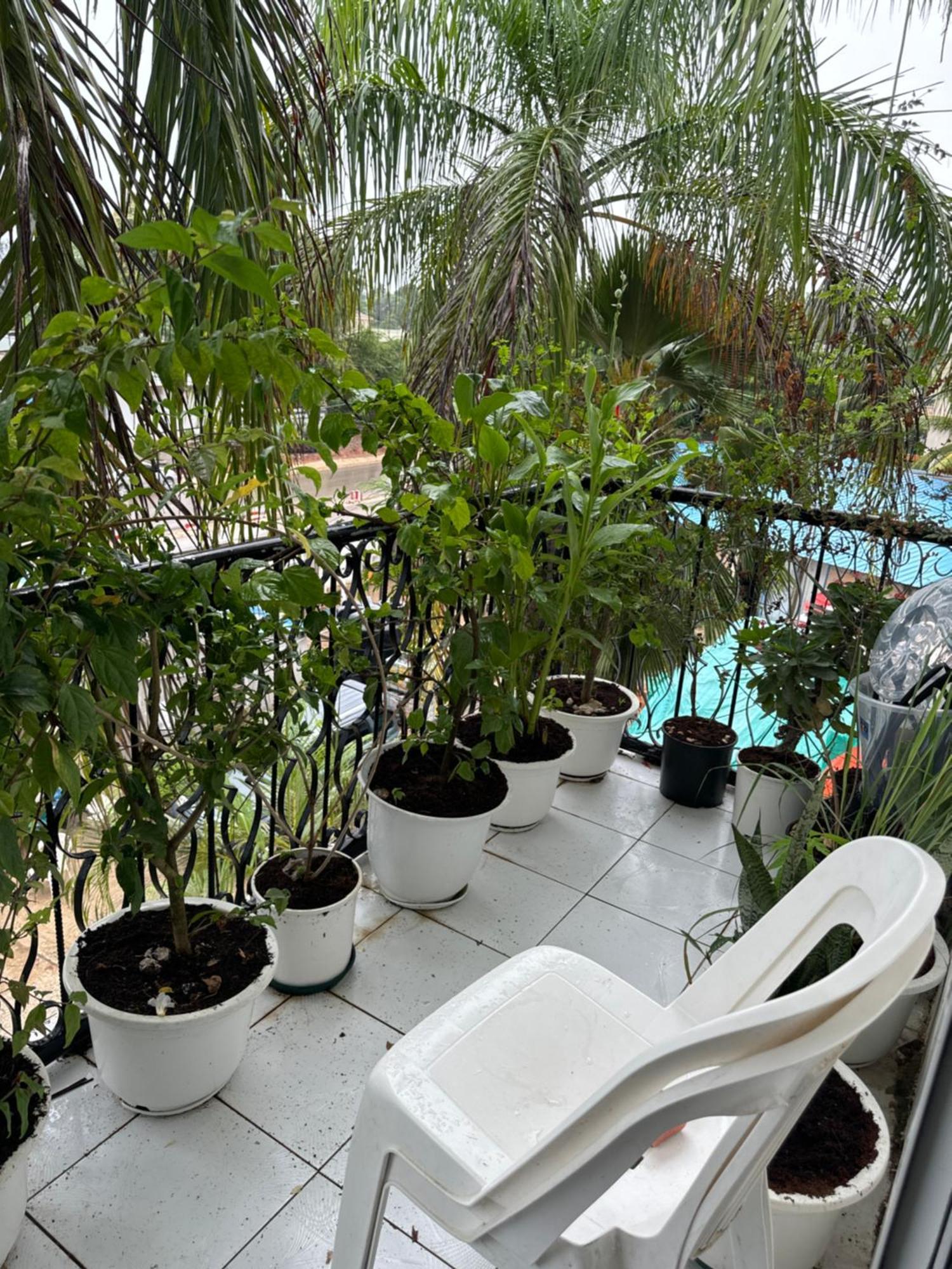 Nana's Luxury Zanzibar
